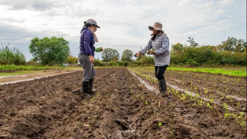 Solo el 20% de las mujeres rurales son propietarias de la tierra