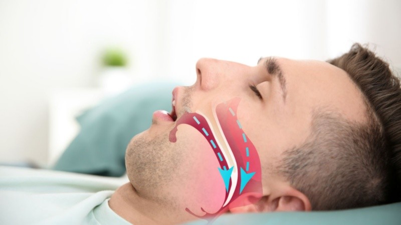 Los hallazgos resultan clave debido a que las olas de calor son cada vez más frecuentes e intensas por el cambio climático.