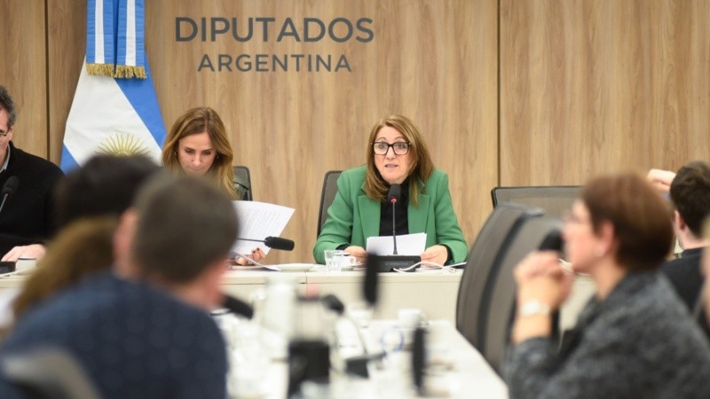 Fein preside la Comisión Especial de Seguimiento e Investigación del Fentanilo Contaminado.