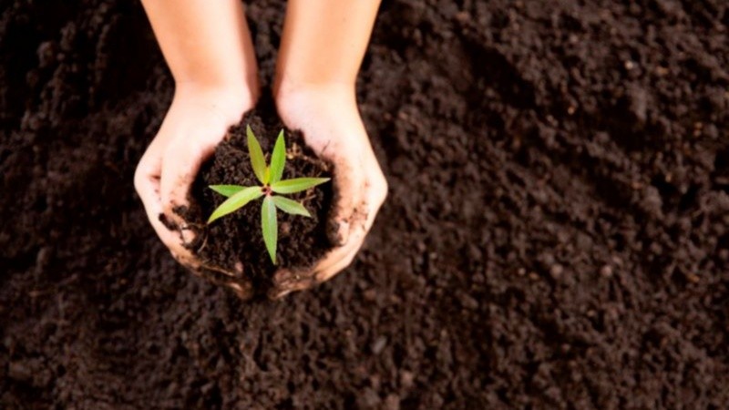 Sumar pequeñas acciones cotidianas ayudan a preservarlo.