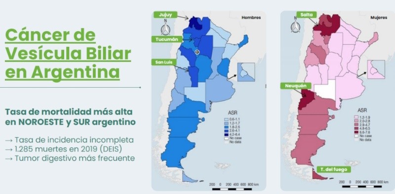 Atlas de mortalidad por cáncer: Argentina, 2011-2015, 1°ed. INC 2017. (ILOGI)