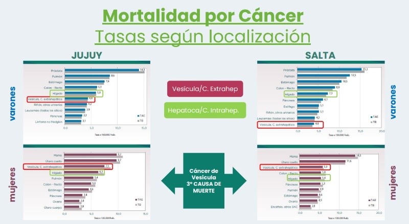 Atlas de mortalidad por cáncer. Argentina, 2011-2015. Instituto Nacional del Cáncer, 2017. (ILOGI)