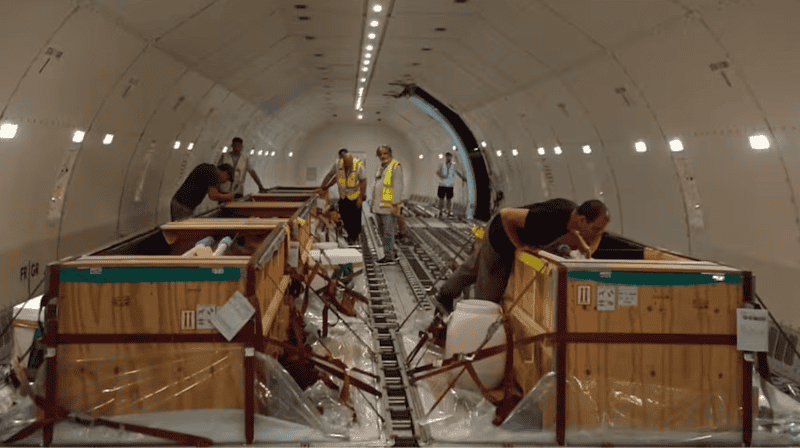  Así fue el viaje a Egipto de los 10 delfines que estaban en el Aquarium de Mar del Plata.