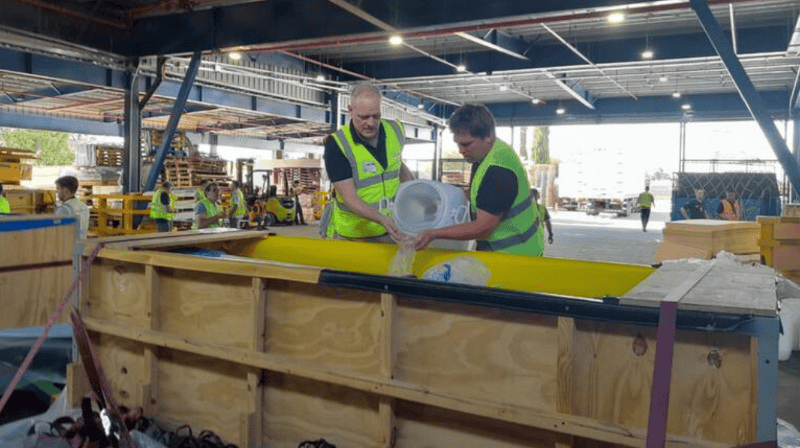  Así fue el viaje a Egipto de los 10 delfines que estaban en el Aquarium de Mar del Plata.