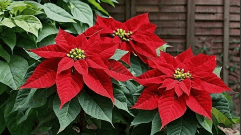 El taller gratuito tiene inscripción online desde el martes, y es gratis con cupo limitado.