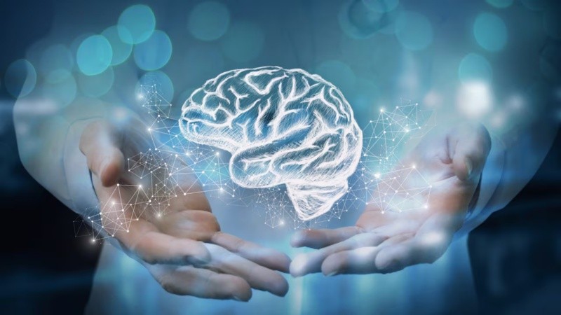 Por primera vez Argentina contará con un marco normativo específico que permitirá unificar criterios de formación y abordaje de salud mental en todas las jurisdicciones del país.