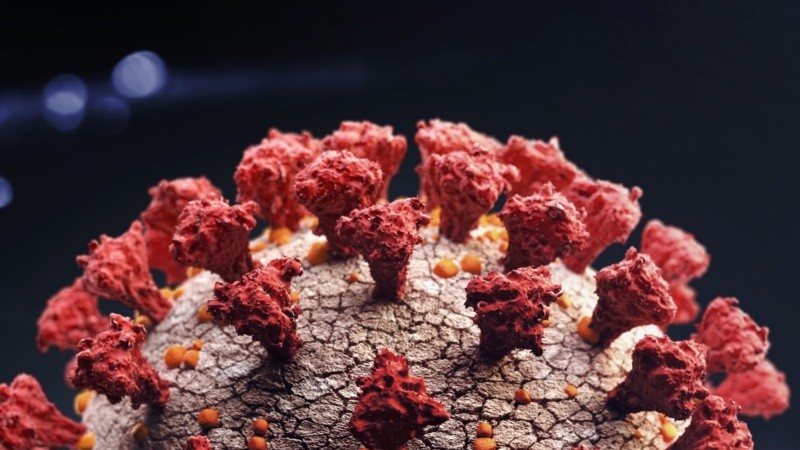 Se trata de una pieza activa que es básica en el proceso de infección.