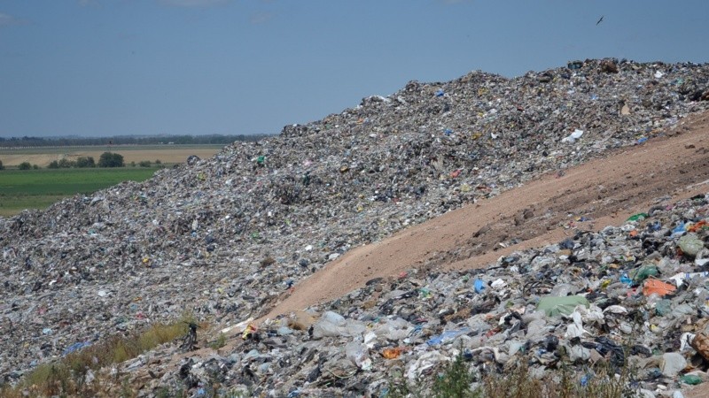 La mitad de la basura enviada es orgánica y podría compostarse (Pedro Rinaldi/Taller Ecologista).