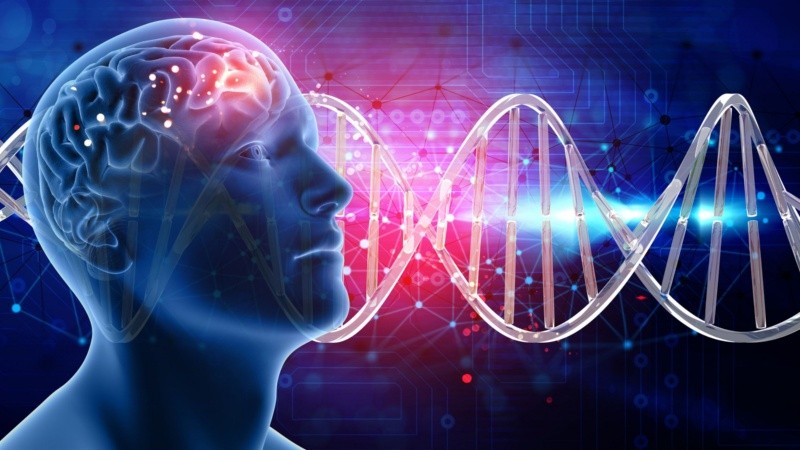 Los factores genéticos hacen a una persona más susceptible a sufrir ciertos rasgos propios de un trastorno.