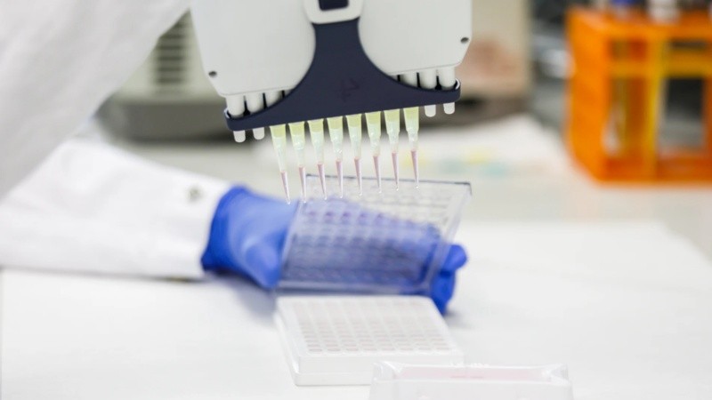 Resaltan la utilidad de la biopsia líquida como herramienta no invasiva en pos de evaluar la evolución del tumor durante el tratamiento inmunoterapéutico.