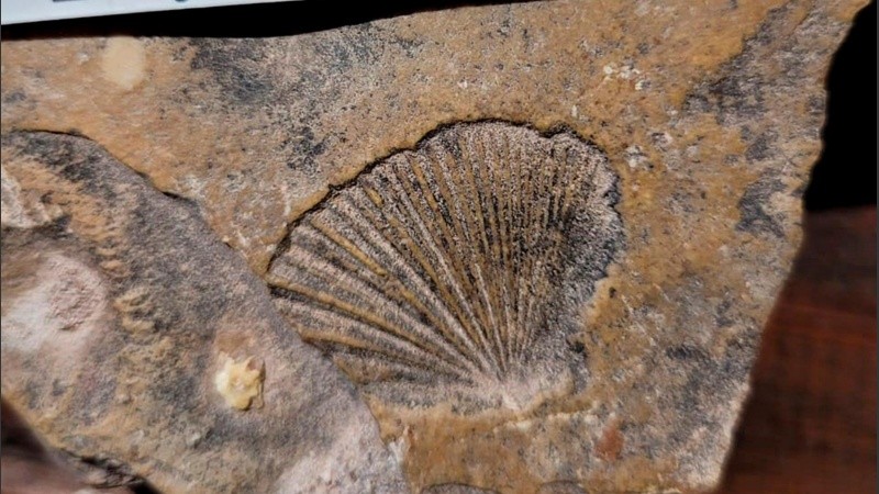 La Formación Yacoraite es una zona de gran valor geológico.