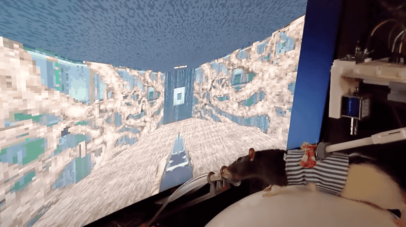 Cómo Doom se transformó en un laboratorio virtual para estudiar el cerebro animal.&nbsp;