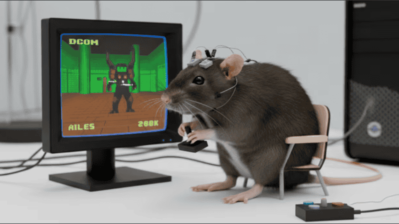 Cómo Doom se transformó en un laboratorio virtual para estudiar el cerebro animal. 