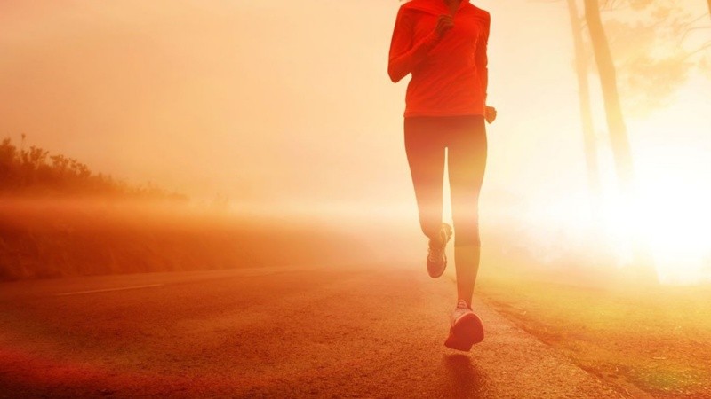 Específicamente, los expertos recomiendan evitar el horario de 10 a 16 h por la extrema temperatura y radiación UV.