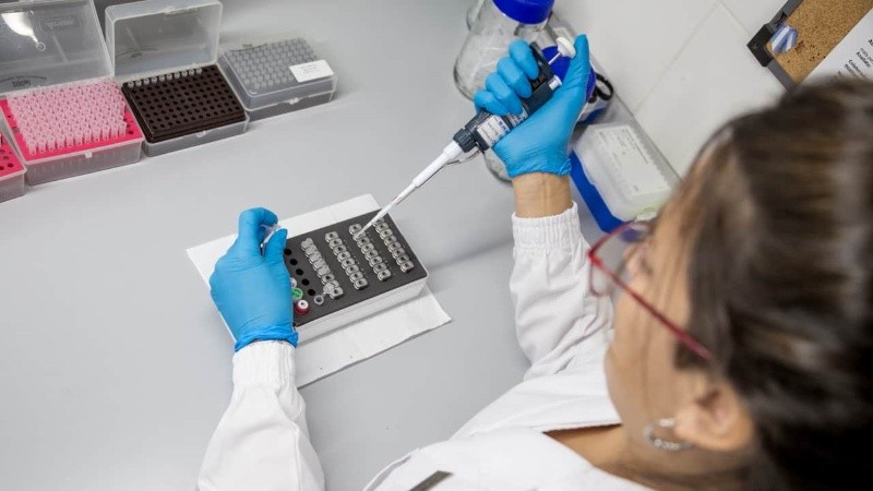 En las últimas horas se confirmaron los primeros casos en el país.