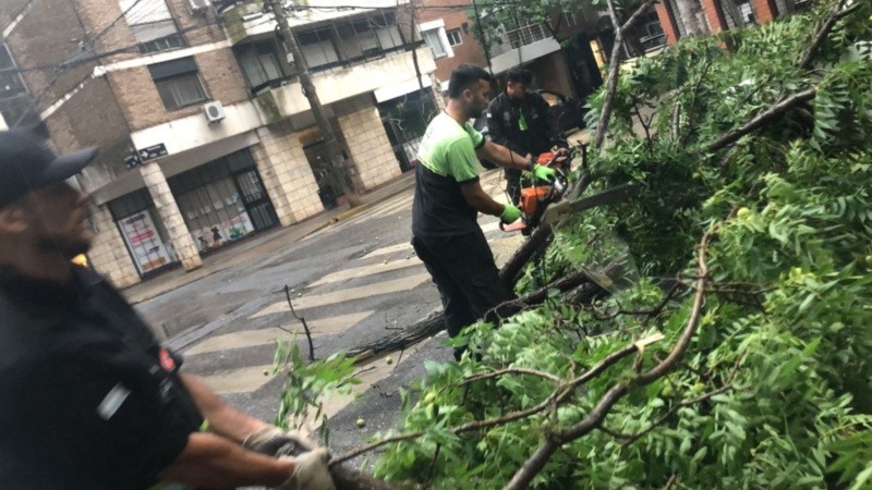 Los equipos de Protección Civil trabajan para normalizar las zonas afectadas.