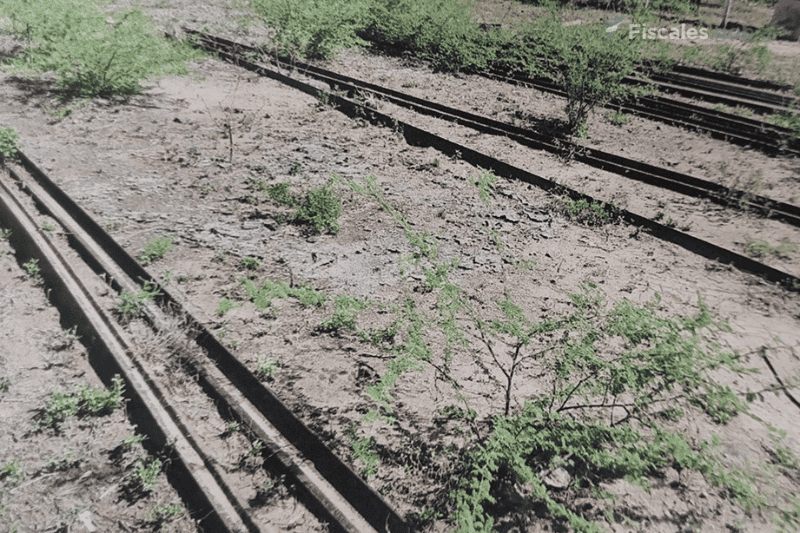 Para levantar las vías, los condenados usaban mano de obra de pueblos originarios.&nbsp;