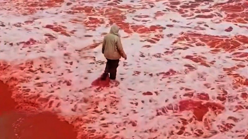 Turistas disfrutan del fenómeno a pesar del frío.