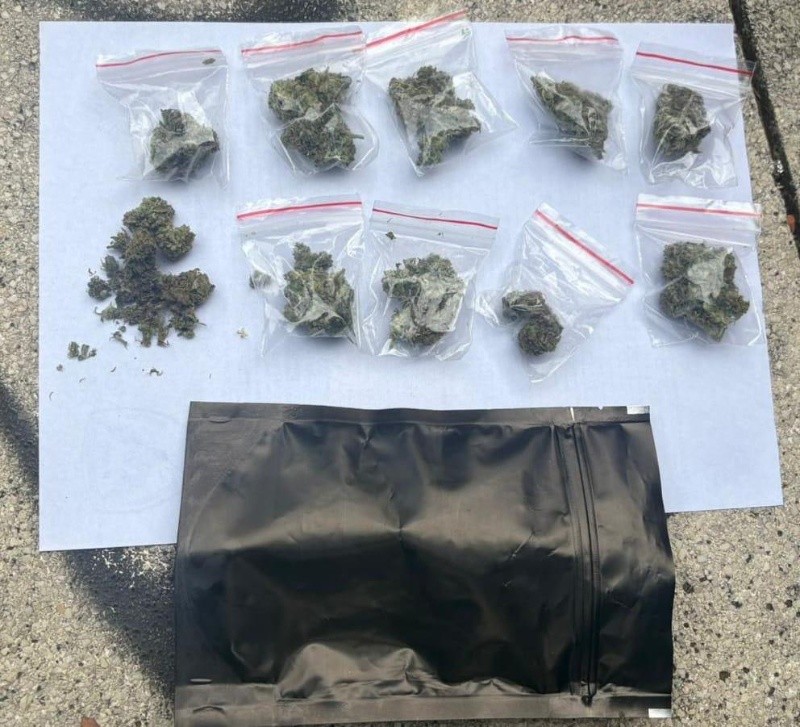 Los cogollos incautados en el Parque Independencia.