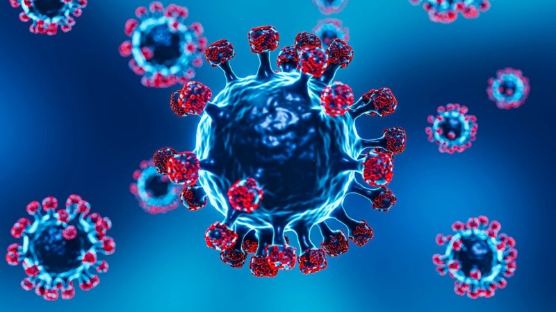 Los casos de Neuquén requirieron internación por neumonía, aunque evolucionaron de forma favorable y ya recibieron el alta médica.