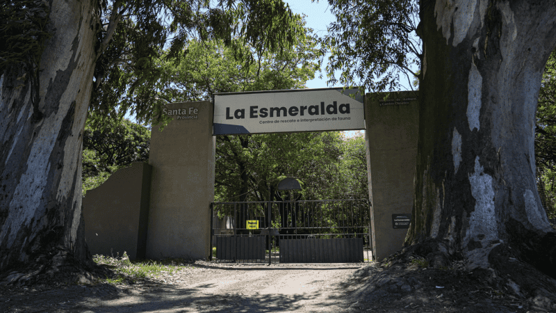 La Esmeralda se suma a las políticas de monumentos naturales y las áreas protegidas que coordina el Ministerio de Ambiente.