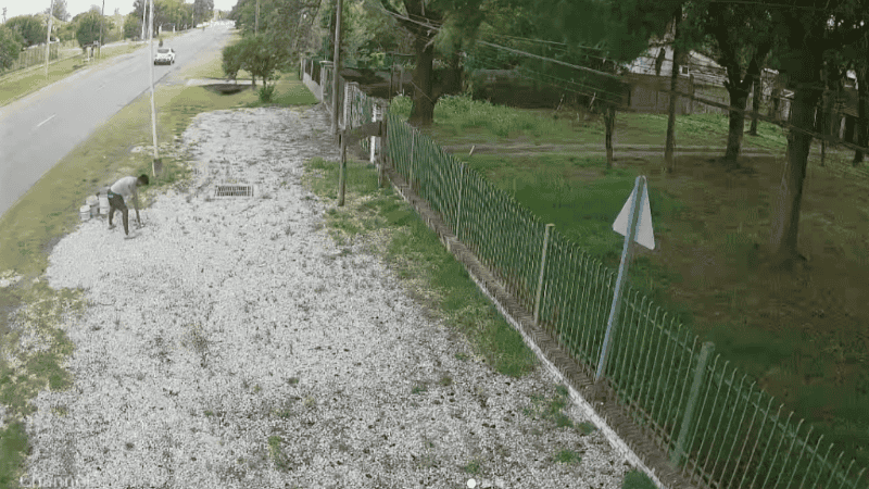 El ladrón de piedras quedó filmado por la cámara de vigilancia.