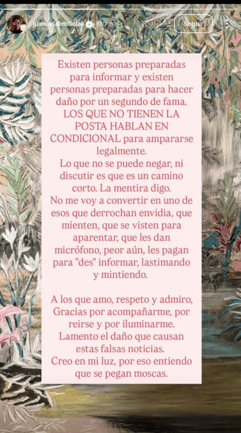 &nbsp;El descargo de Juana Viale en su cuenta de Instagram.