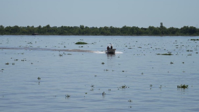 La altura del río en el puerto de Rosario es de 2,85 metros este lunes 12 de enero.