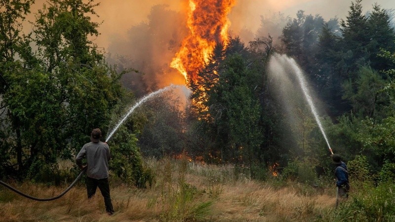 Nación recortó fondos para el manejo del fuego, subejecutó los presupuestos y precarizó a los brigadistas.