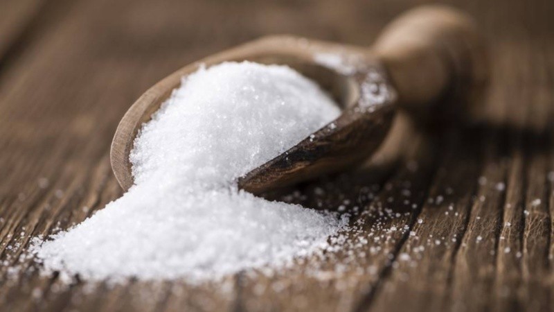 El hallazgo lo hicieron investigadores de la Universidad de Tufts, Estados Unidos.