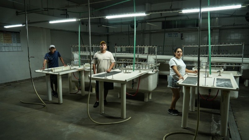 Trabajadores de la empresa Euro en el lugar donde solían desarrollar sus tareas.&nbsp;Foto: Alan Monzón/Rosario3