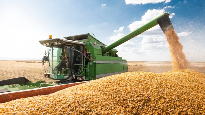 La actividad agropecuaria marcó un récord histórico en 2025 y cerró el año con más de 11% de crecimiento.