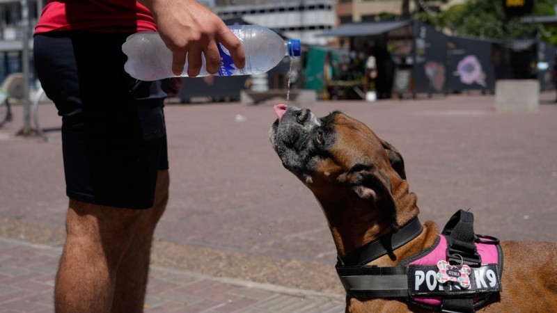 La hidratación, clave para no sufrir un golpe de calor.