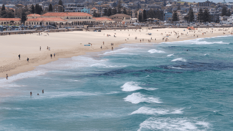 Entre el domingo y el martes se registraron al menos cuatro ataques de tiburón en distintas zonas de Australia