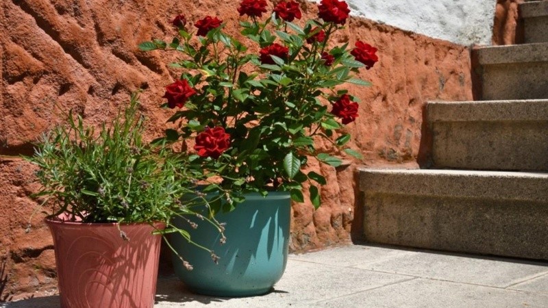 La Escuela Municipal de Jardinería abre nuevos talleres.