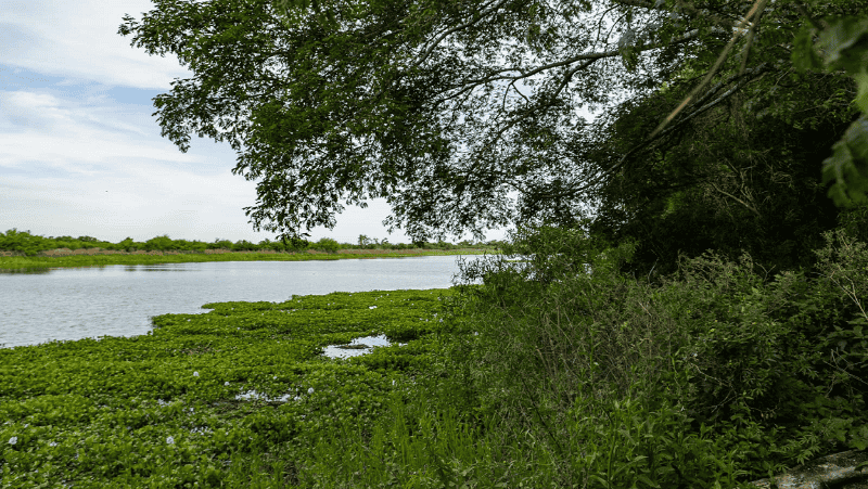 Una de muchas vistas naturales del parque nacional frente a Puerto Gaboto y de acceso libre los fines de semana.&nbsp;(Gentileza Archivo Parques Nacionales)