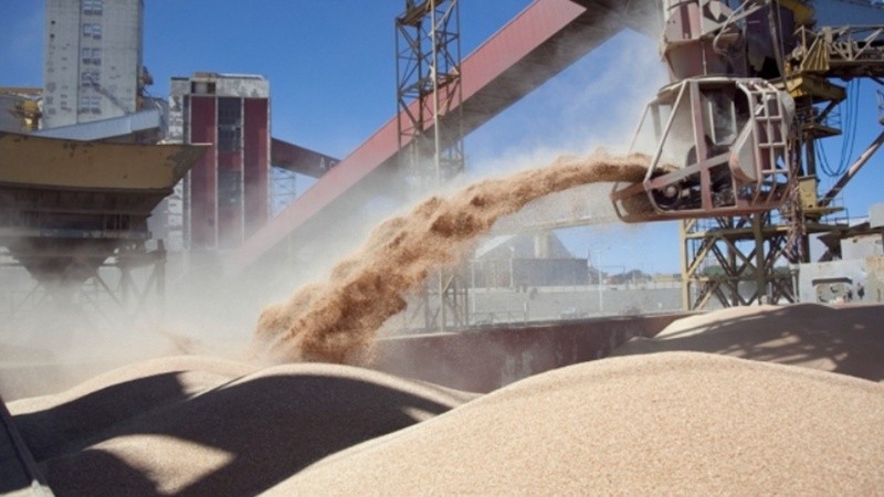 La industria aceitera registró en 2025 un volumen récord de procesamiento de oleaginosas.