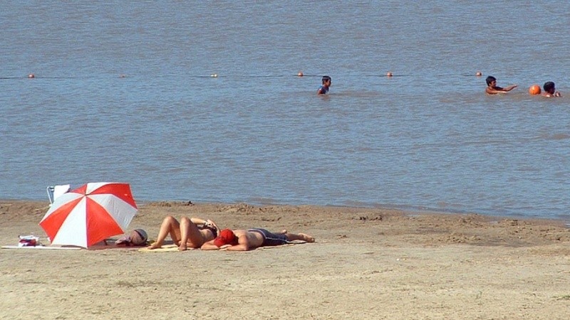 Más de 40 personas sufrieron heridas por mordeduras de palometas en la costa de Victoria.