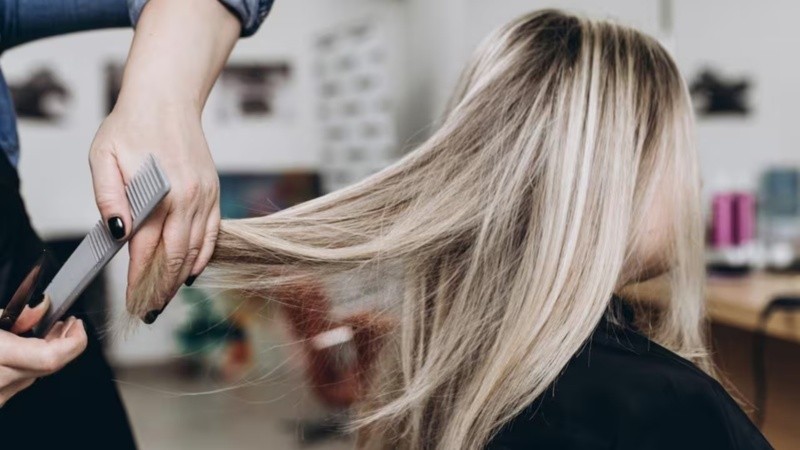 Cada fase potencia diversos objetivos, según indican expertos.