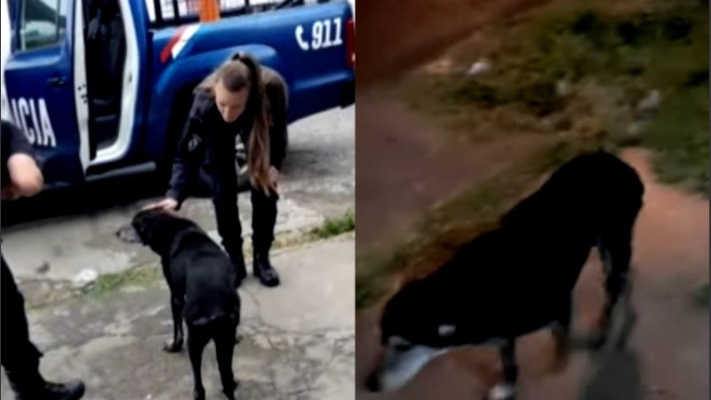 Negrita fue resguardada por personal poliicial tras la agresión que sufrió.