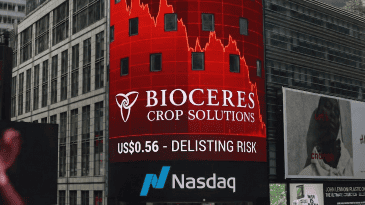 Del sueño del unicornio a la pesadilla: lecciones de un derrumbe bursátil