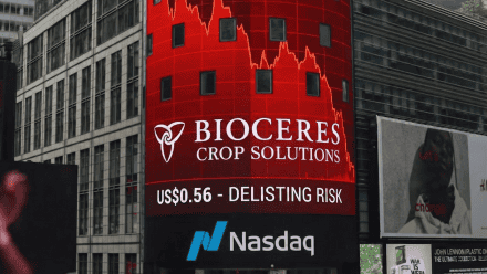 Del sueño del unicornio a la pesadilla: lecciones de un derrumbe bursátil