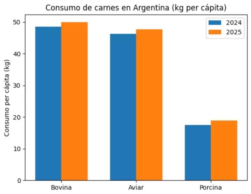 &nbsp;El consumo total de carnes alcanzó en 2025 los 116,4 kg per cápita en Argentina.