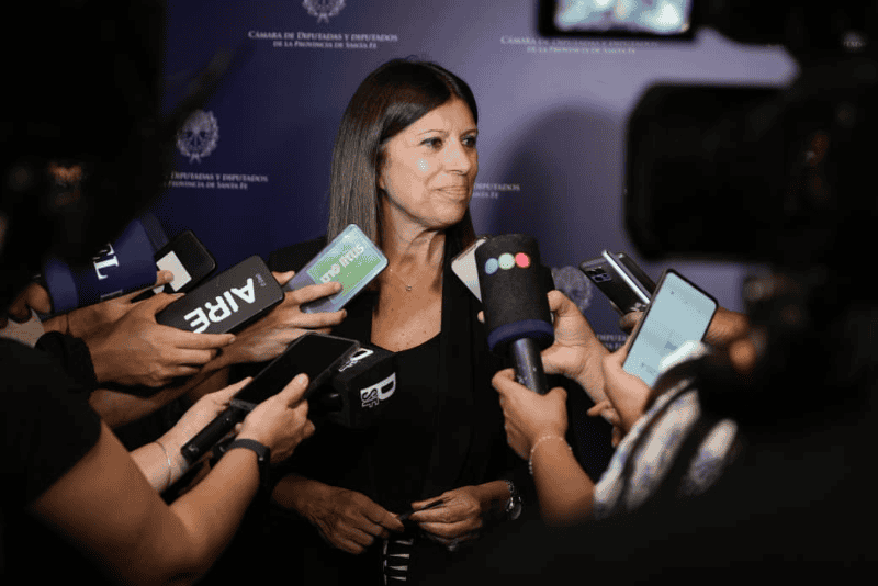 La presidenta de la Cámara, diputada Clara García&nbsp;