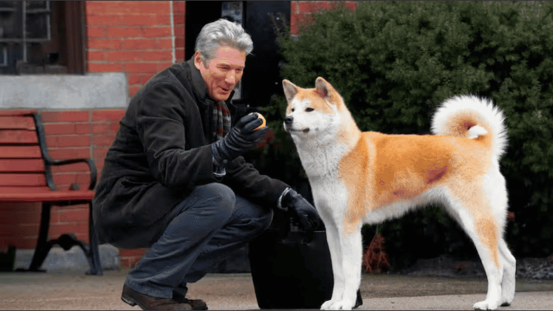 Imagen ilustrativa, película Hachiko.
