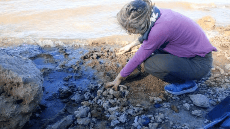 El descubrimiento ocurrió el 3 de agosto de 2025 y estuvo a cargo del antropólogo bermudense Andrés Gil.