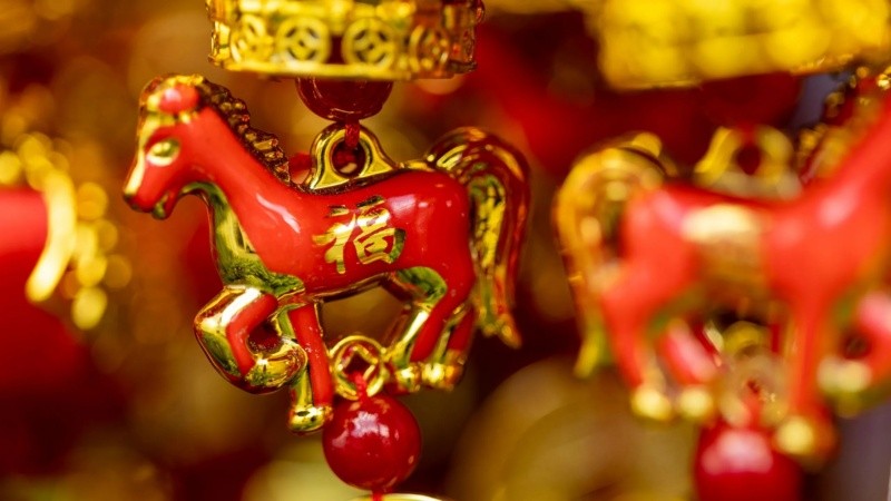 El nuevo ciclo invita a despejar lo viejo, reorganizar con intención y potenciar la energía del hogar para enfrentar un ciclo lleno de movimiento, nuevas oportunidades y crecimiento.