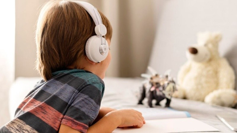 Reducidor de sonido.&nbsp;