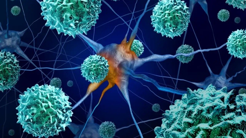 El trabajo reveló un núcleo estable en dos enterovirus, Enterovirus A71 y Coxsackievirus B3.