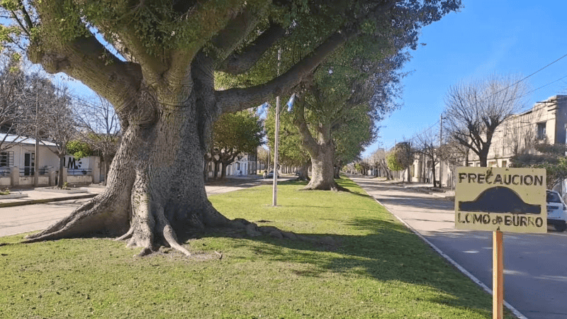 El 31 de enero, un vecino de Los Molinos fue víctima de un atraco en su casa.